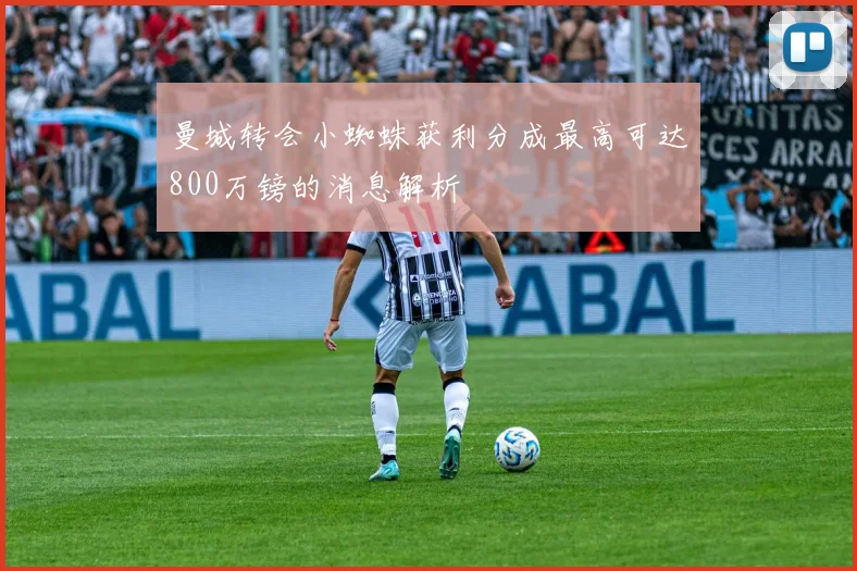 曼城转会小蜘蛛获利分成最高可达800万镑的消息解析